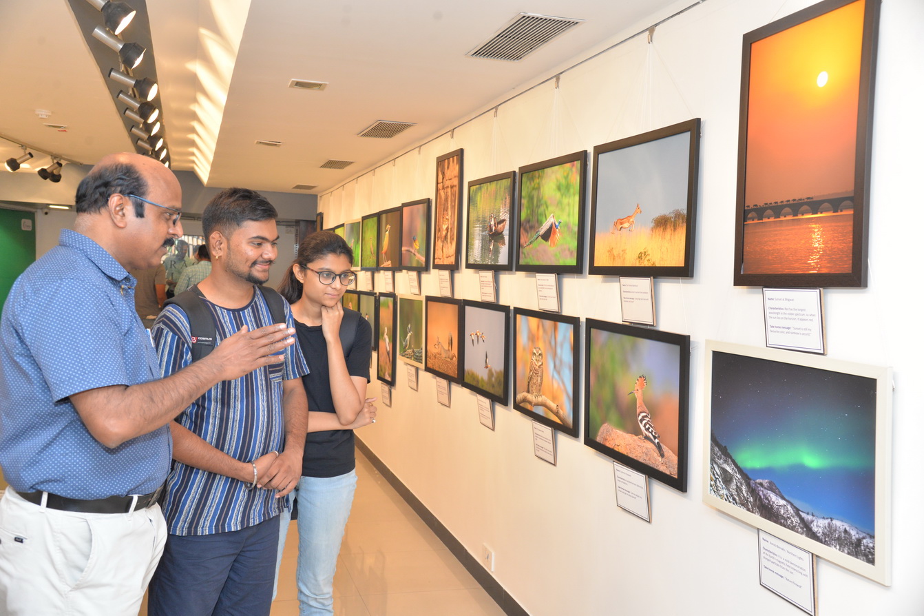 Jehangir Art Gallery - Image 19