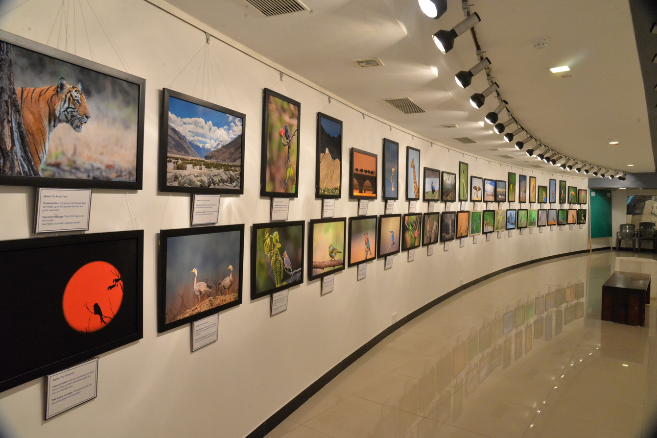 Jehangir Art Gallery - Image 29