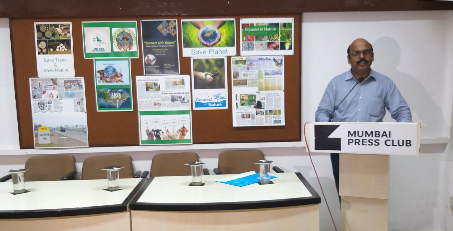 Jehangir Art Gallery - Image 27