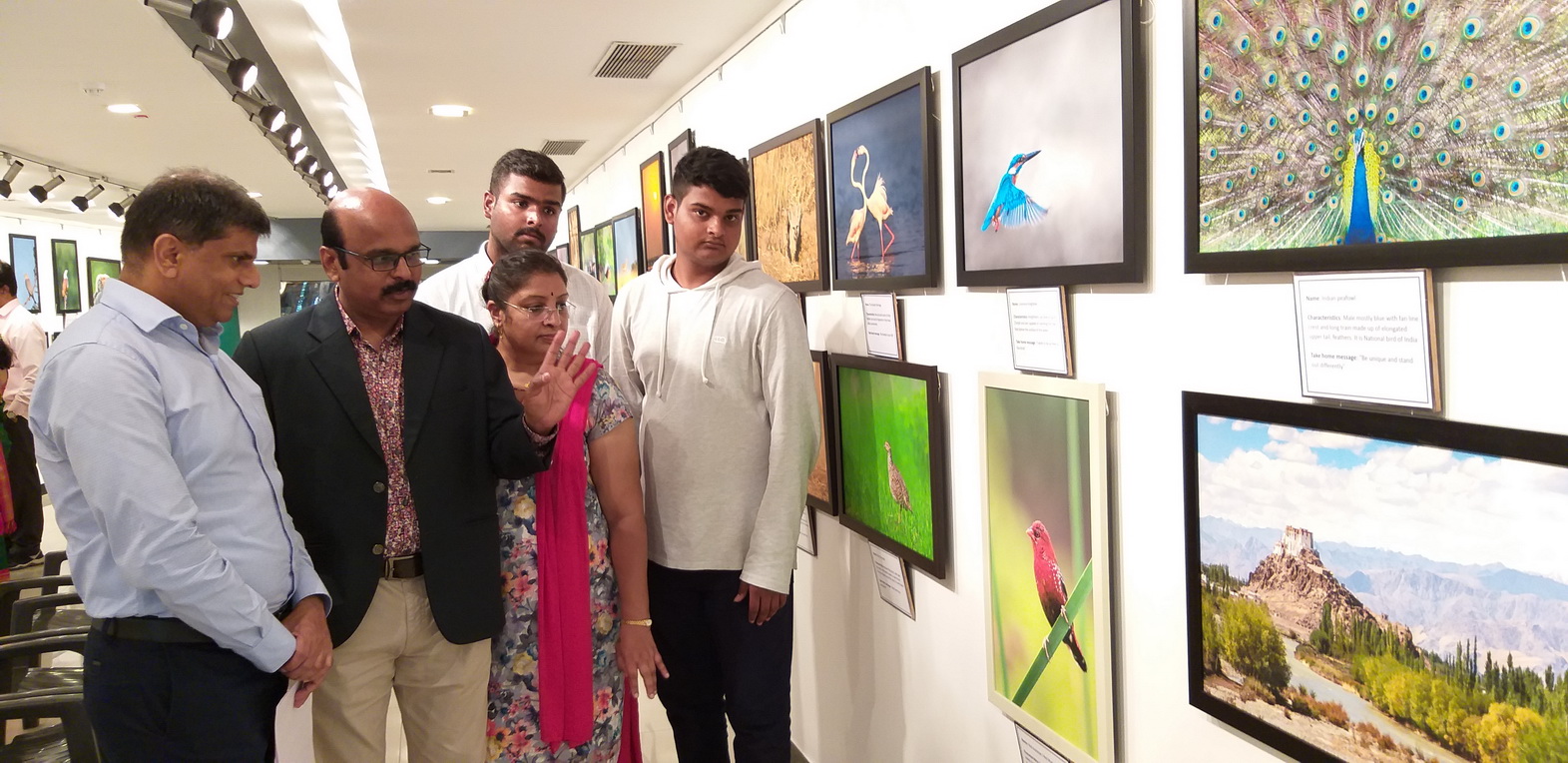 Jehangir Art Gallery - Image 17