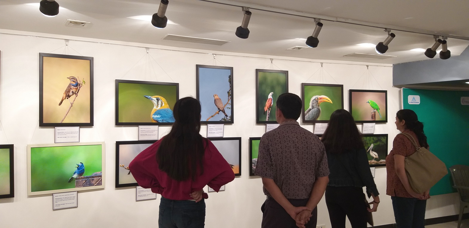 Jehangir Art Gallery - Image 5