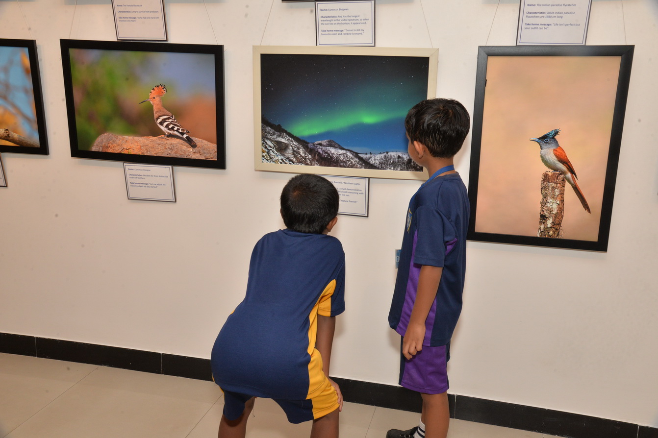 Jehangir Art Gallery - Image 21