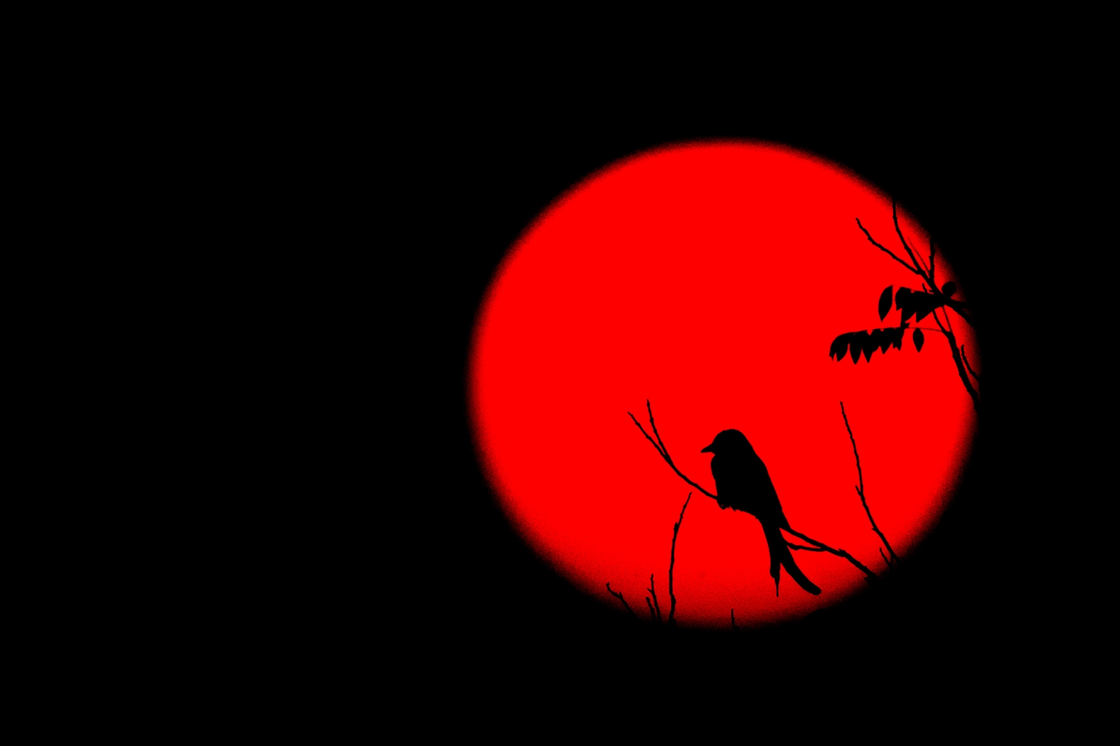 Dr Vyankatesh Metan Solapur Art O 1575x1050