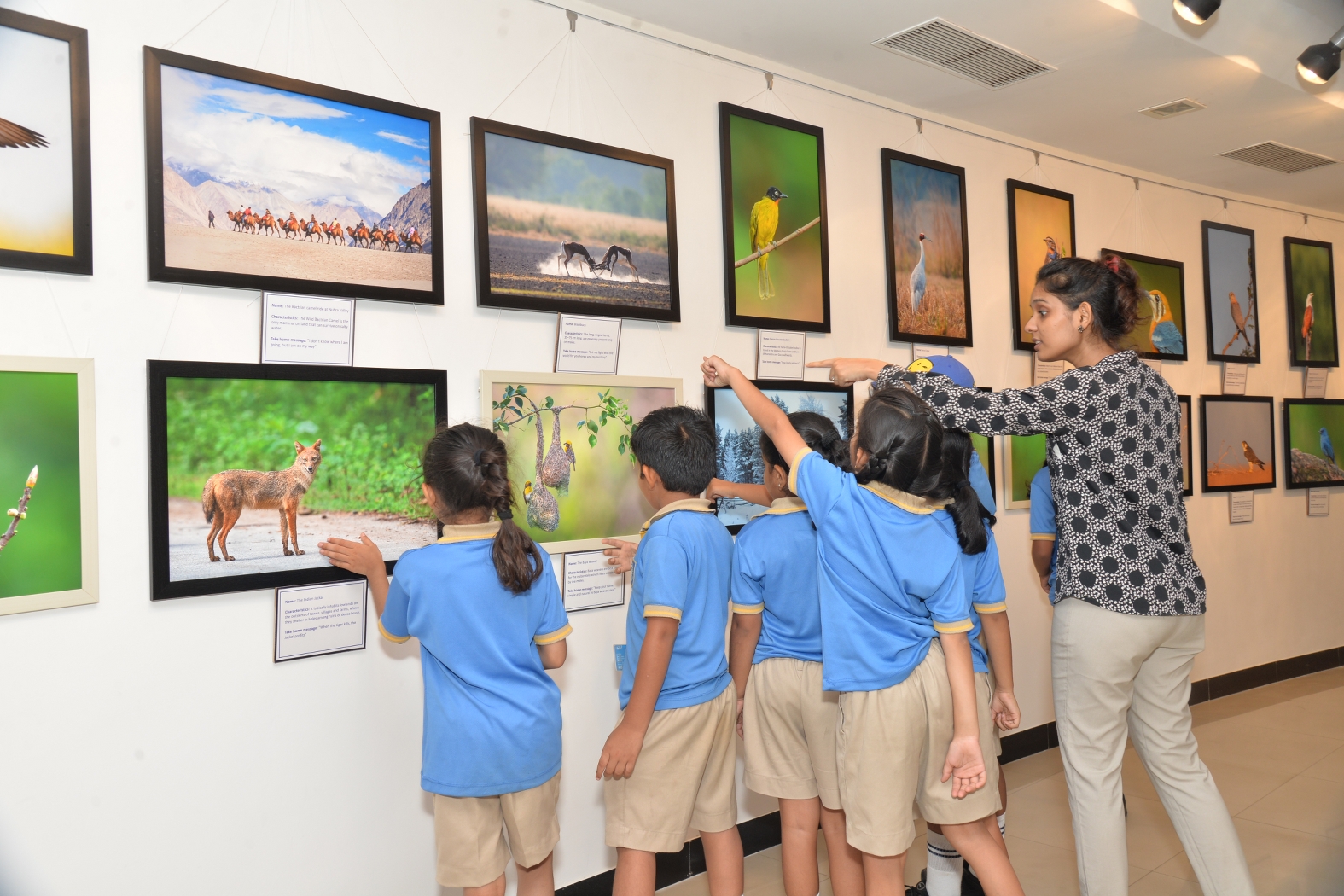 Exhibition at Jehangir Art Gallery Mumbai Dr Vyankatesh Metan G 1575x1050