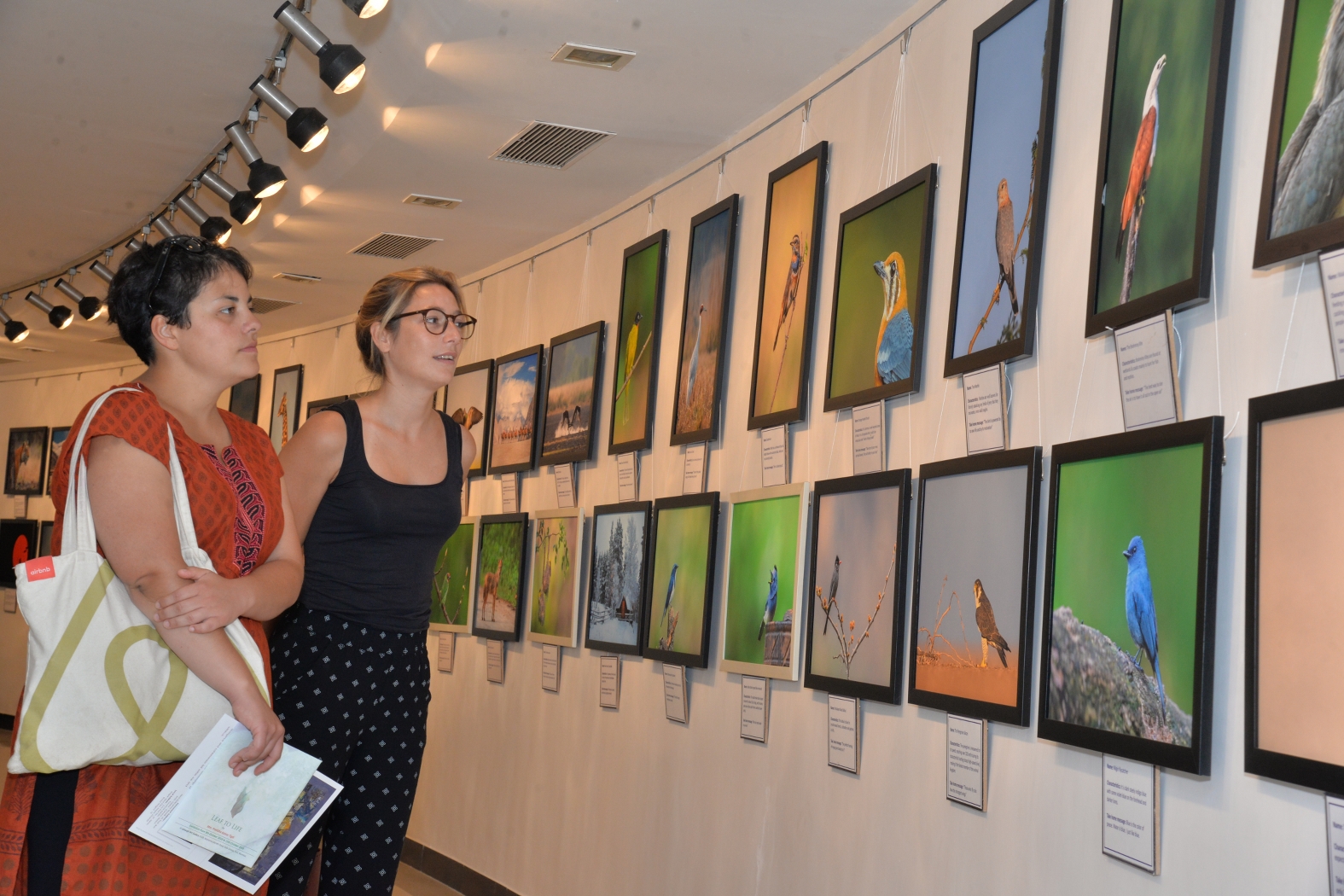 Exhibition at Jehangir Art Gallery Mumbai Dr Vyankatesh Metan J 1575x1050