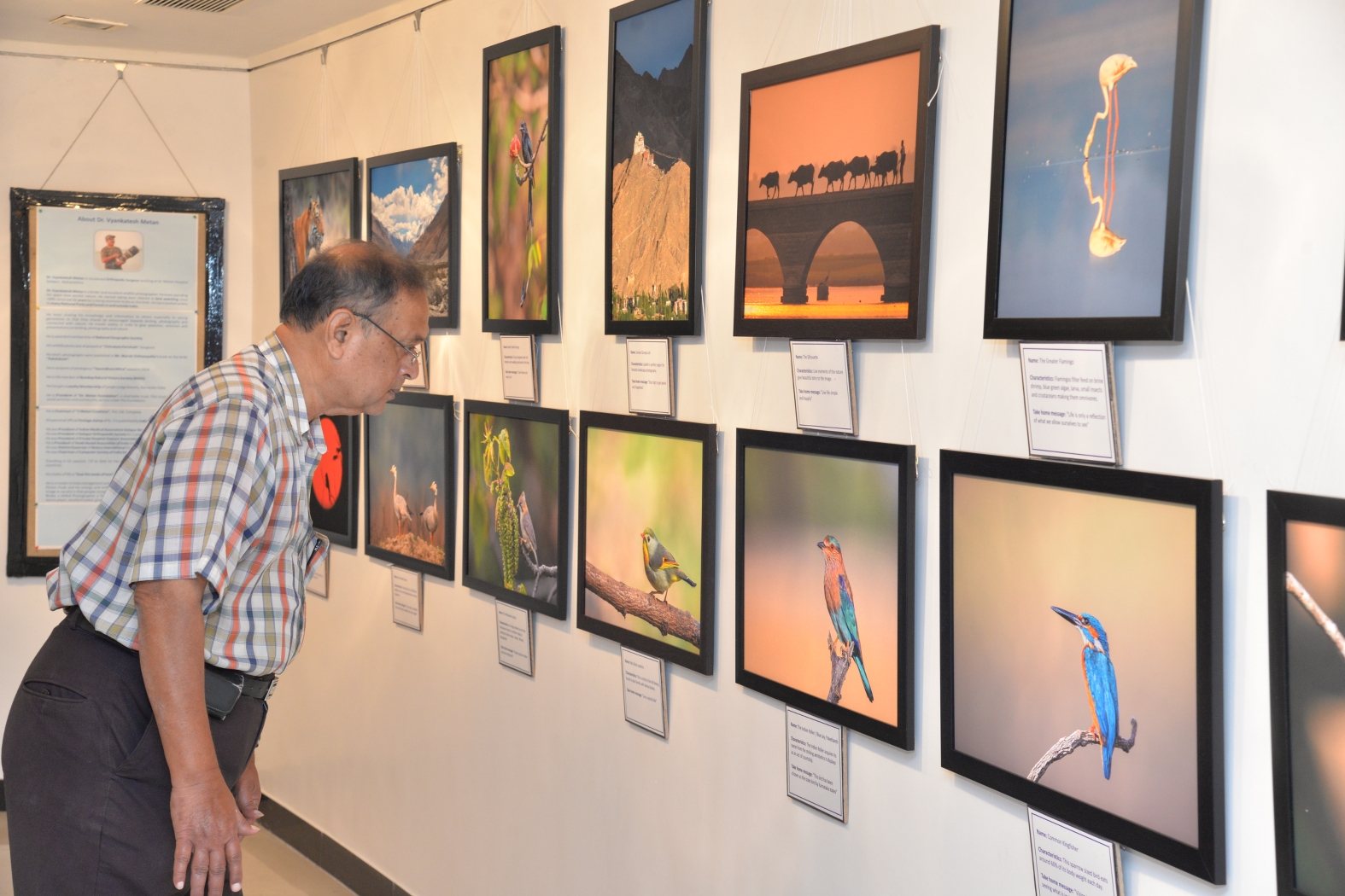 Exhibition at Jehangir Art Gallery Mumbai Dr Vyankatesh Metan V 1575x1050