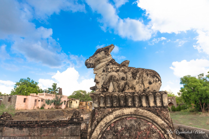Nandi at Shri Siddheshwar temple Machnur 42