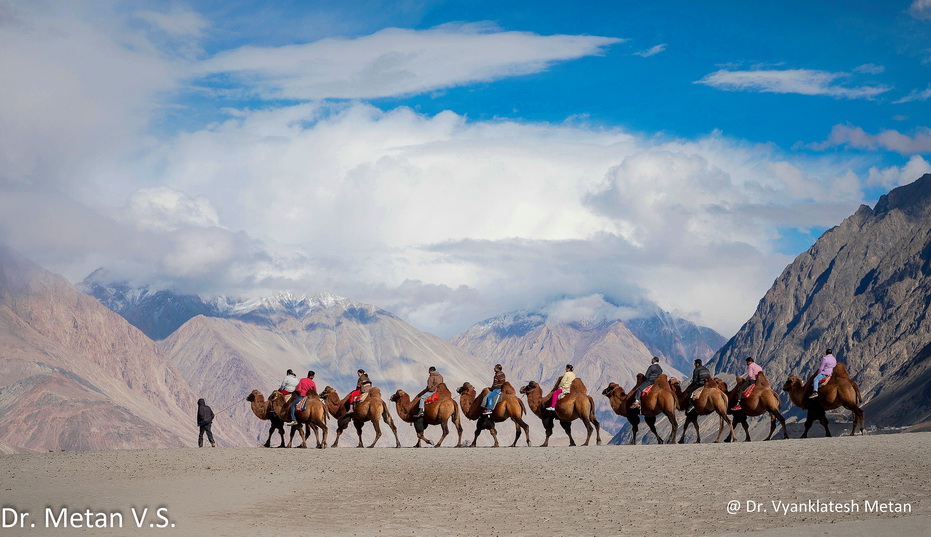 Featured photography 14