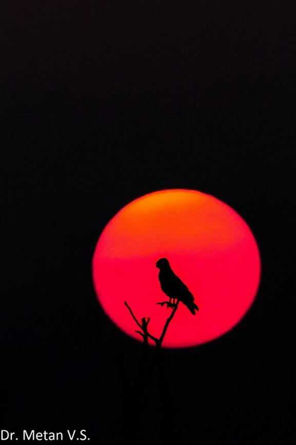 Featured photography 3