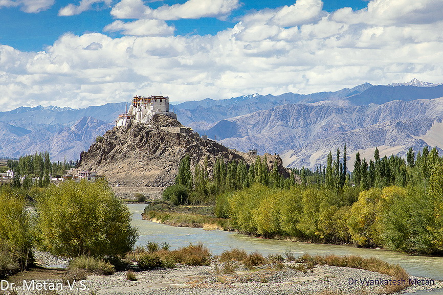 Featured photography 21