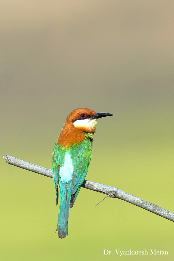 Featured photography 45