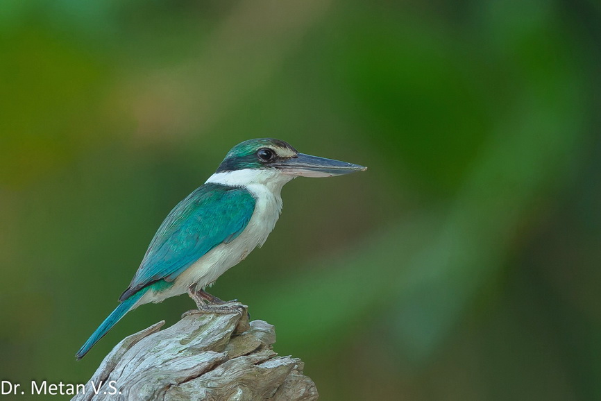 Featured photography 33