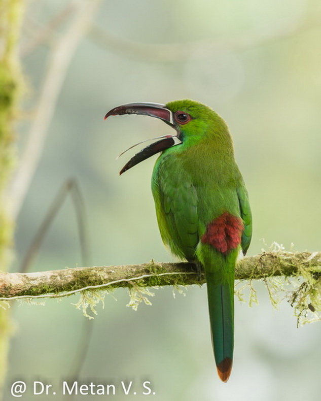 Featured photography 40