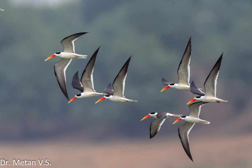 Featured photography 35