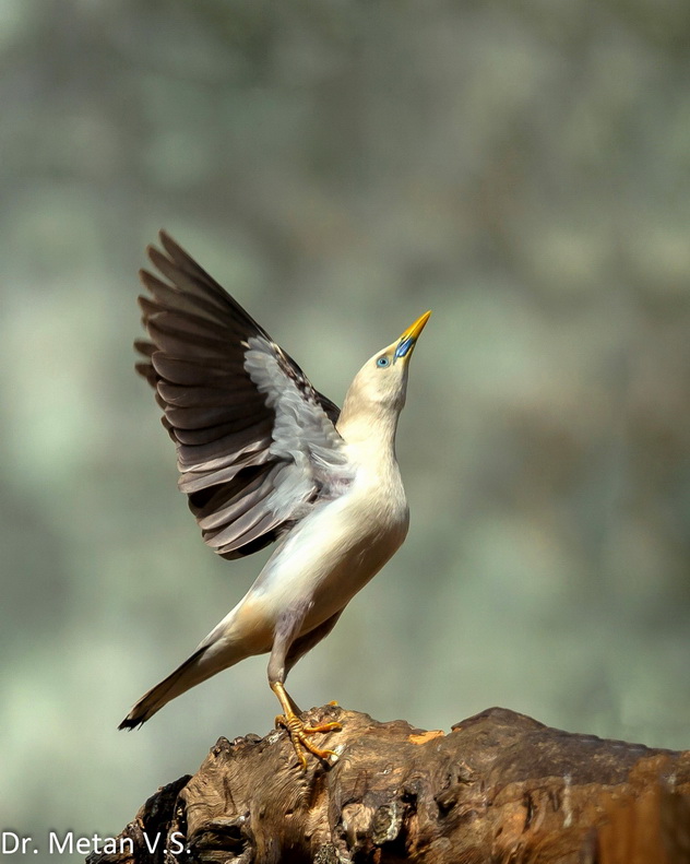 Featured photography 42