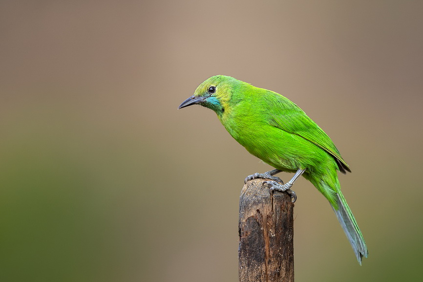 Featured photography 48