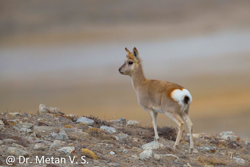 Featured photography 32